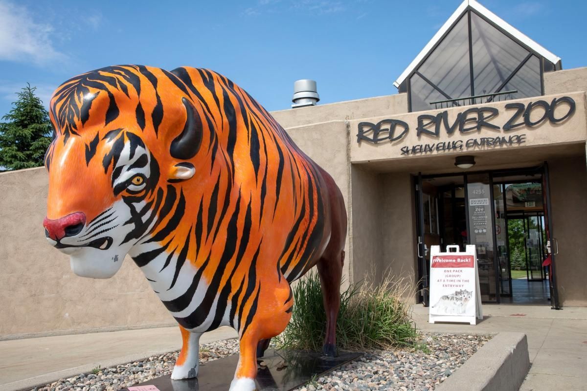 A bright orange and black tiger-striped bison statue stands outside the entrance to the Red River Zoo.