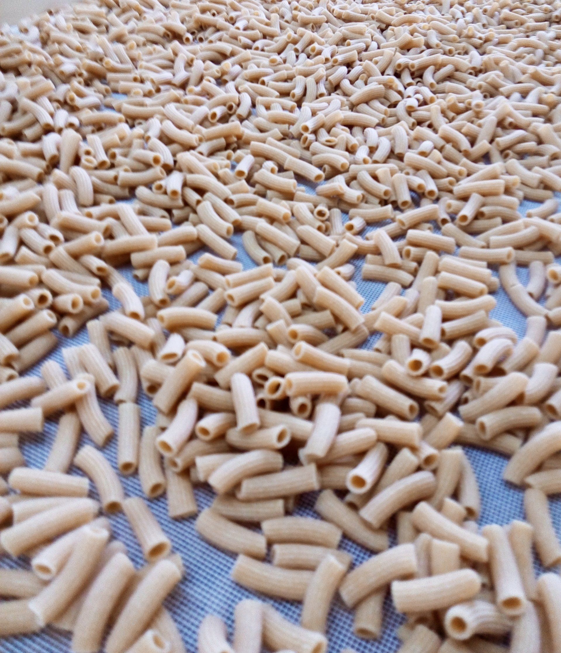 pasta secca Guasconi