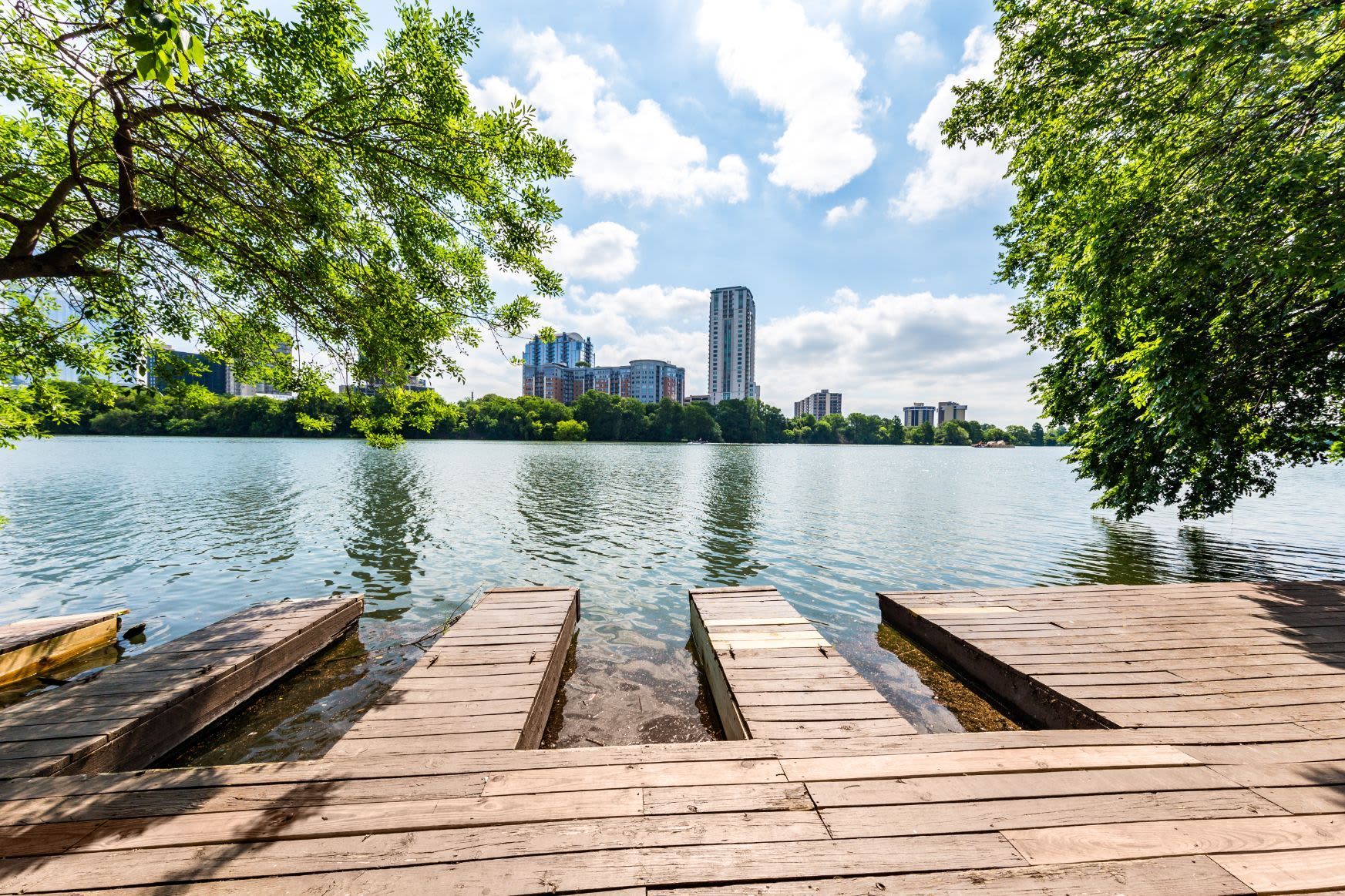 A wooden dock leads to a lake with a city skyline in the background.