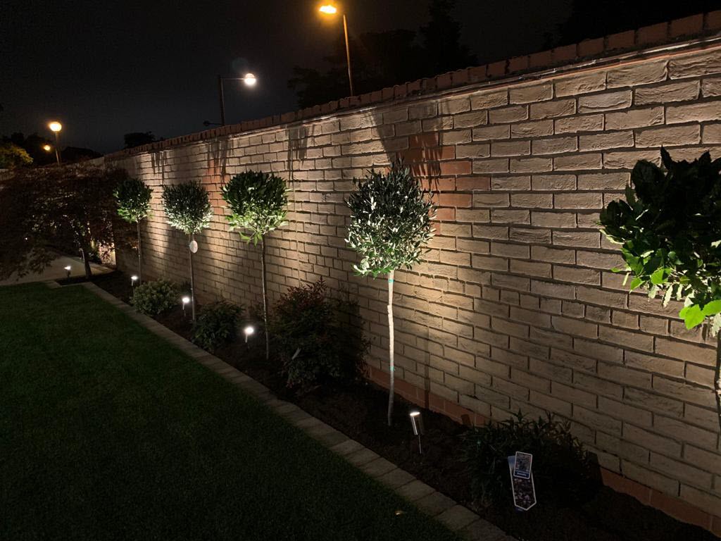 A brick wall with trees in front of it lit up at night.