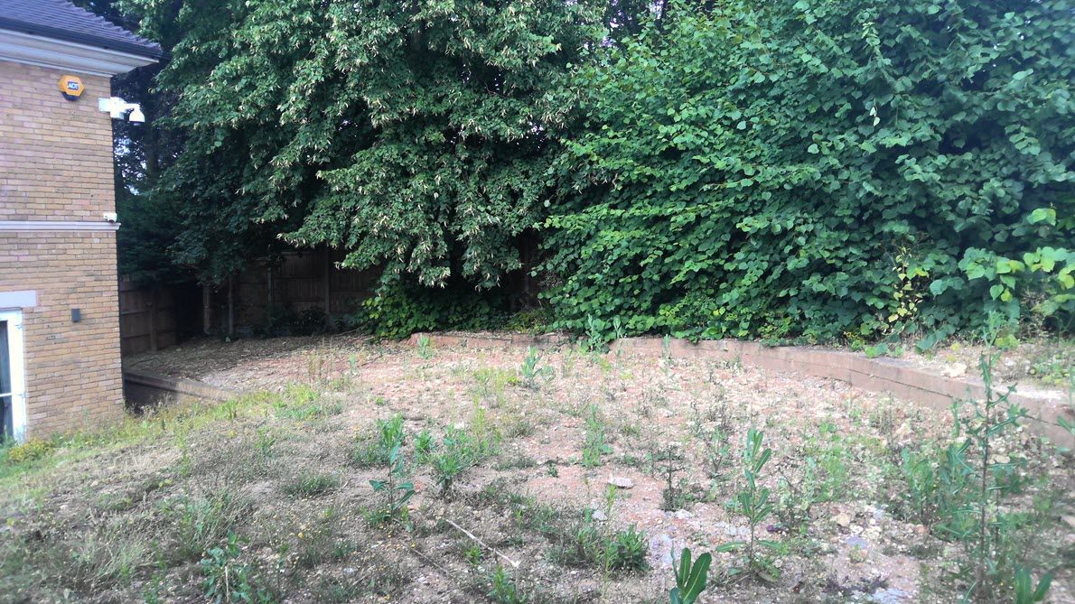 A brick house is surrounded by trees and grass in a backyard.