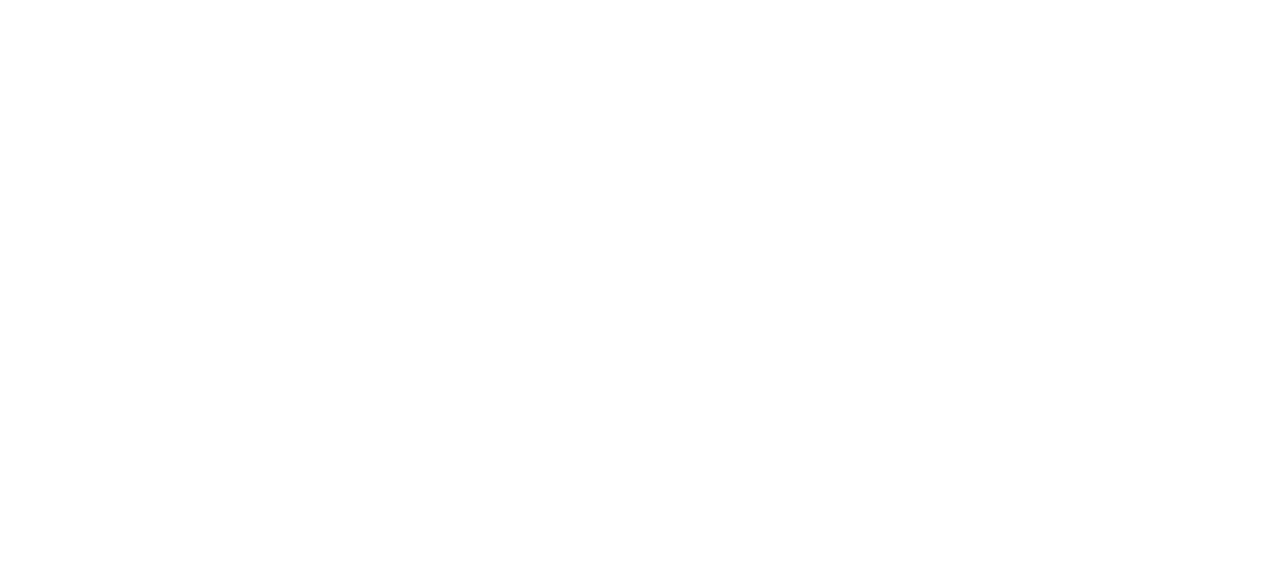 logo-image
