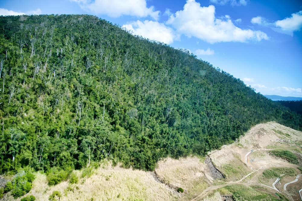 An Aerial View Of A Mountain Covered In Trees On A Sunny Day — ViperVac Solutions PTY LTD in Cannonvale, QLD