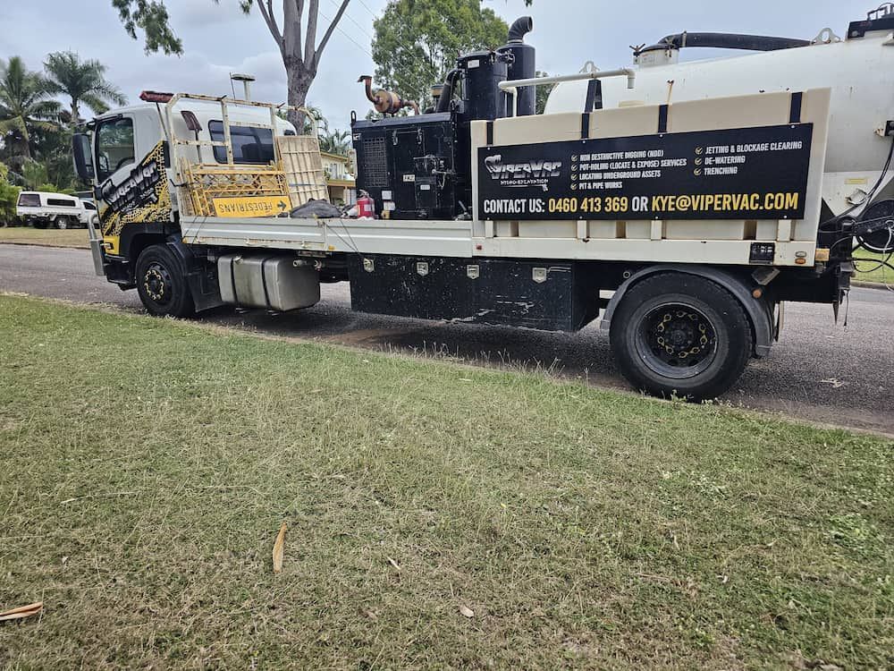 A Beach With A Palm Tree In The Foreground And A Body Of Water — ViperVac Solutions PTY LTD in Airlie Beach, QLD