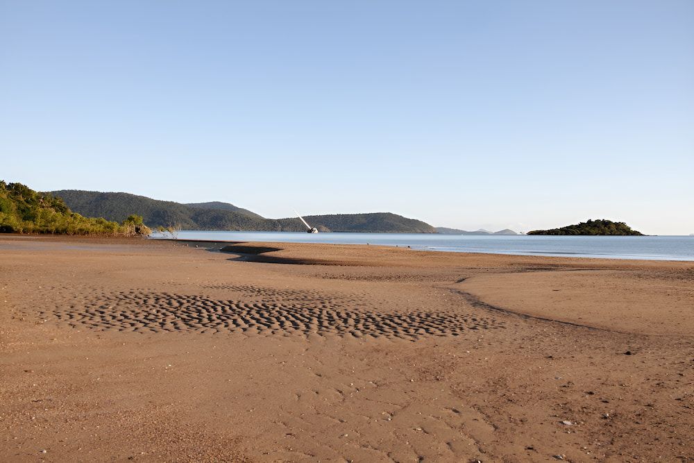 A Sandy Beach With A Small Island In The Distance — ViperVac Solutions PTY LTD in Cannonvale, QLD