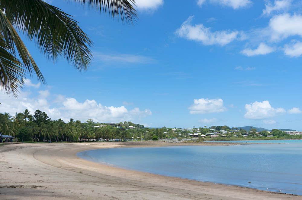 A Beach With A Palm Tree In The Foreground And A Body Of Water — ViperVac Solutions PTY LTD in Airlie Beach, QLD