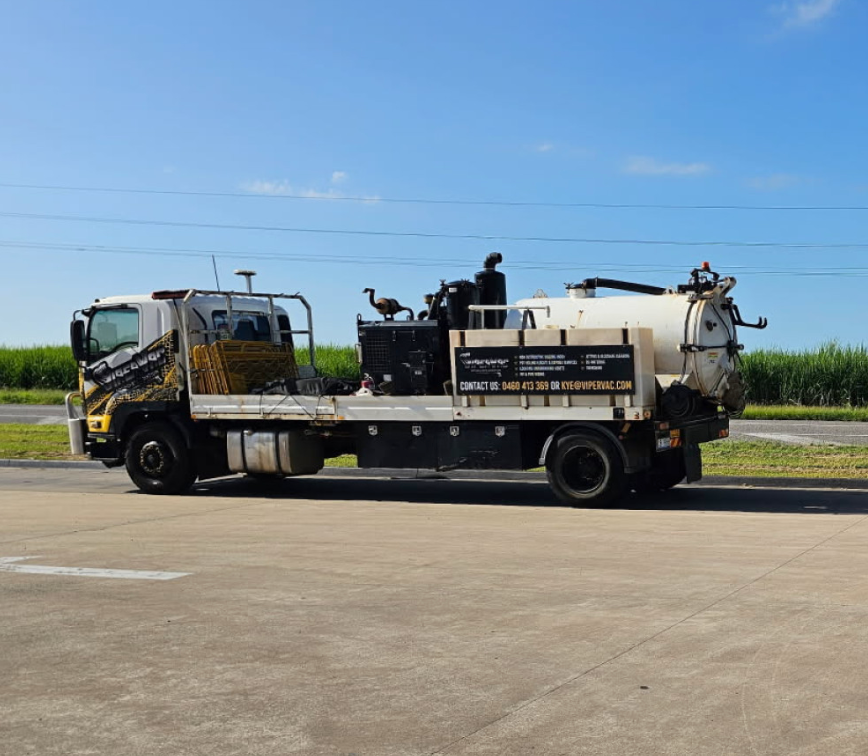 A Beach With A Palm Tree In The Foreground And A Body Of Water — ViperVac Solutions PTY LTD in Airlie Beach, QLD
