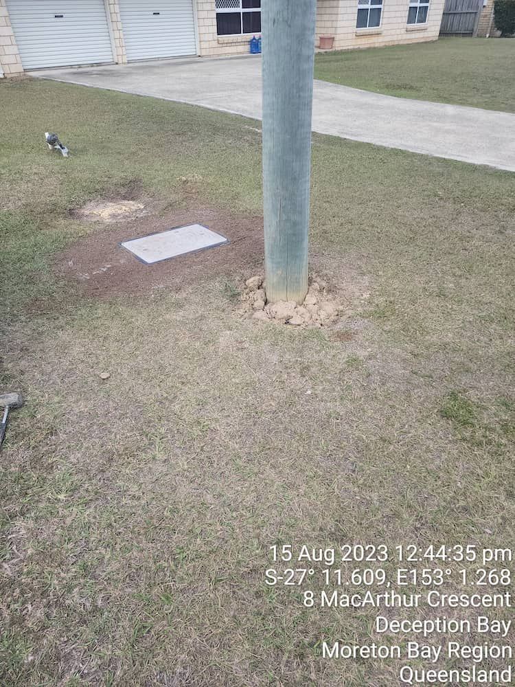 A Bird Is Perched On A Pole In The Grass In Front Of A House — ViperVac Solutions PTY LTD in Cannonvale, QLD