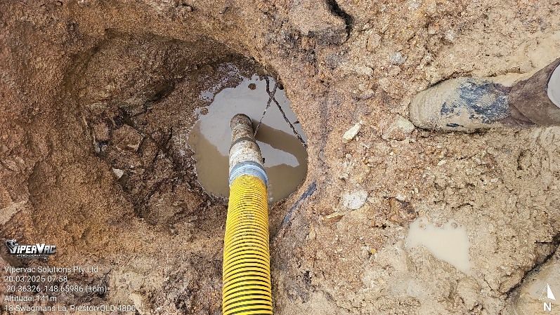 A Couple Of Palm Trees Standing Next To A Body Of Water — ViperVac Solutions PTY LTD in Airlie Beach, QLD