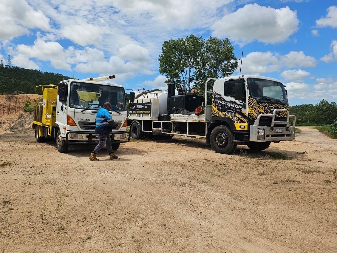 A Beach With A Palm Tree In The Foreground And A Body Of Water — ViperVac Solutions PTY LTD in Airlie Beach, QLD