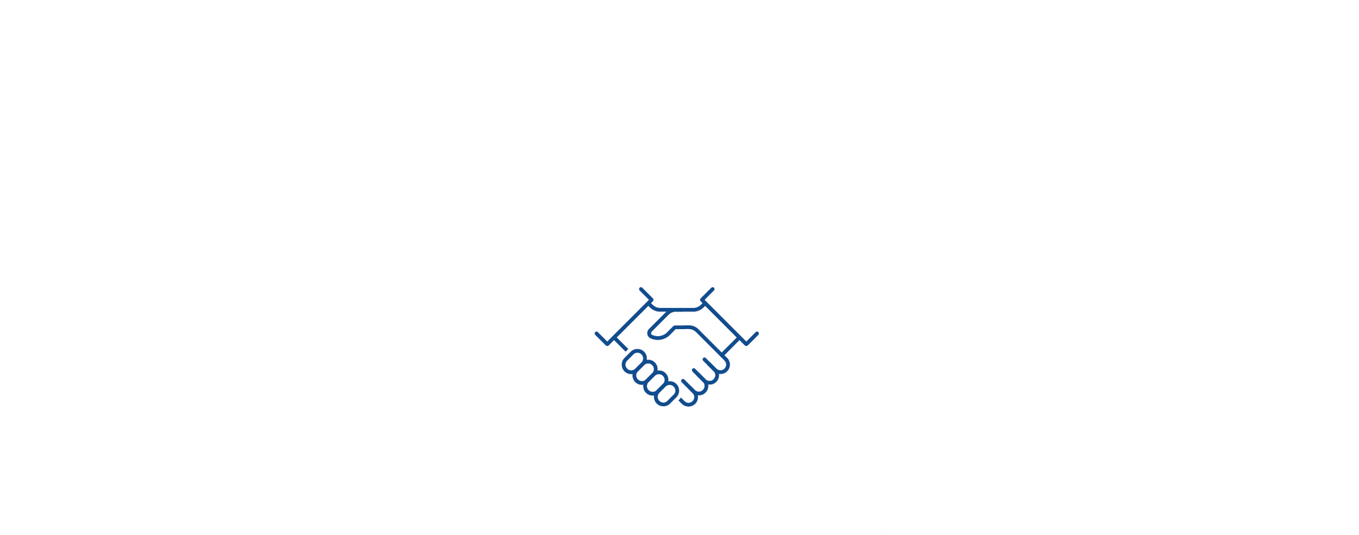 BON Auto Consulting