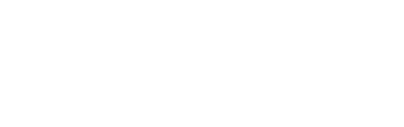 Nursing Detroit Logo