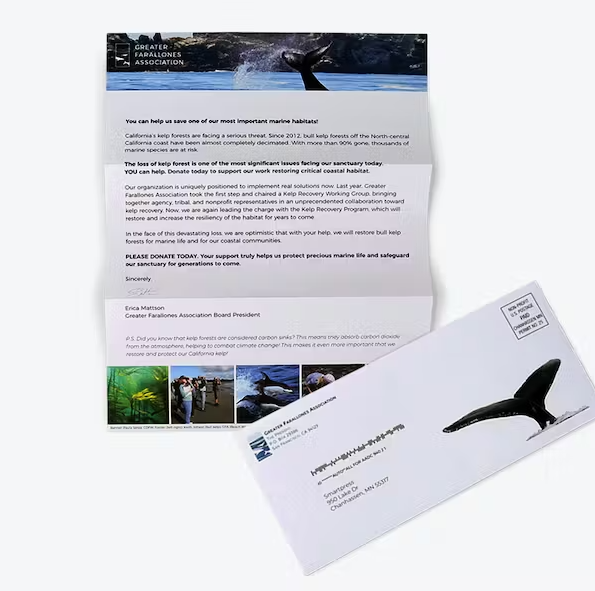 an envelope with a picture of a whale on it