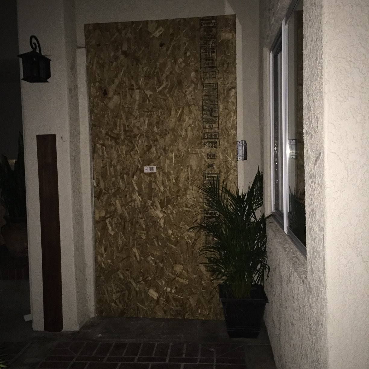 A door with a plant in front of it and a window.
