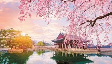 Seven Seas Explorer 郵輪自由行13天 -東亞風華 日本與南韓文化巡禮