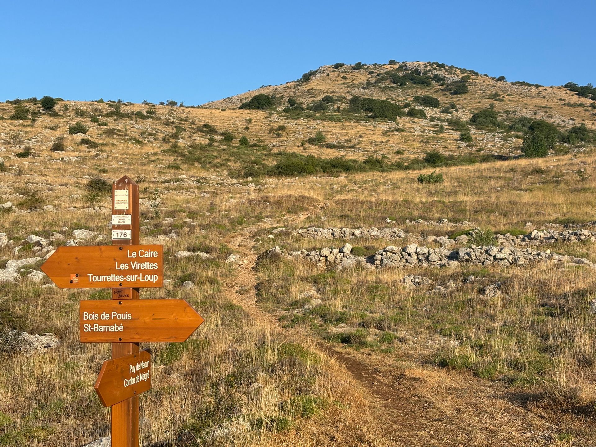 A wooden sign in the middle of a field with a mountain in the background.