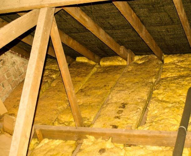 Attic Mold