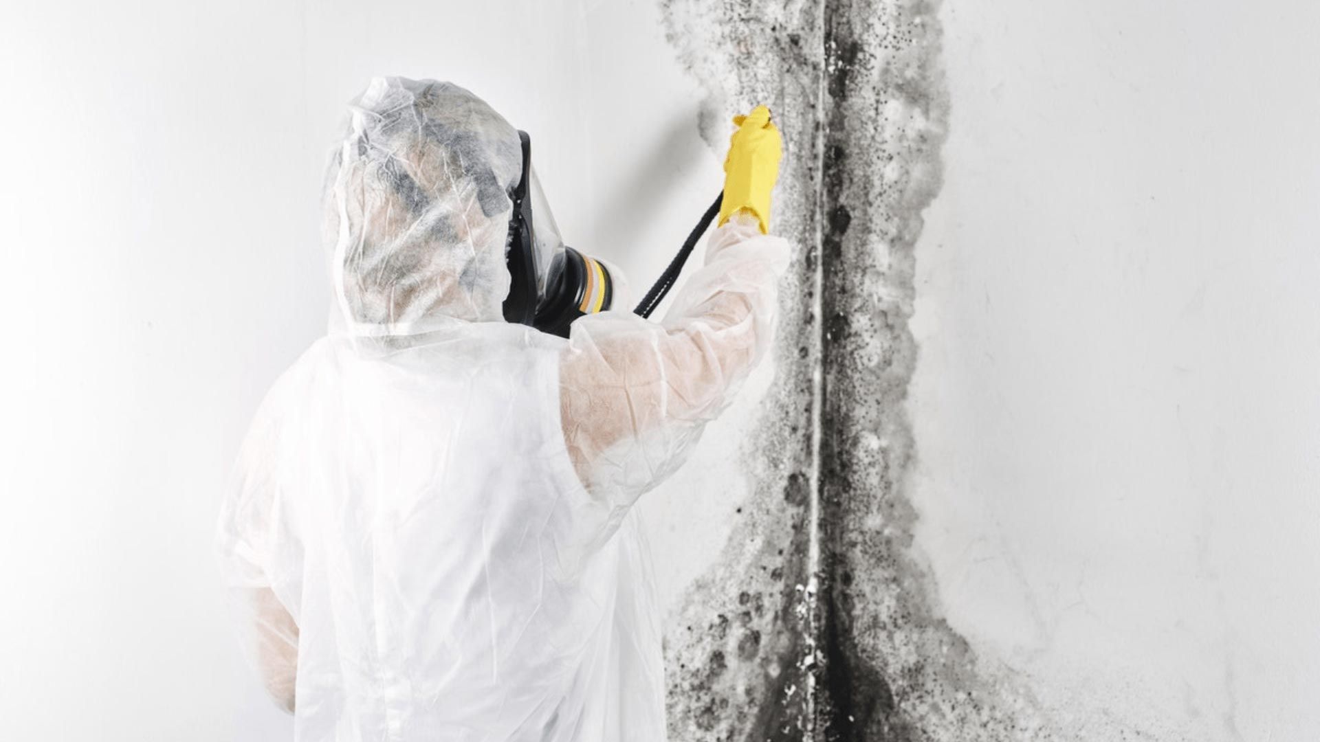 Person in protective suit spraying mold on a white wall. Black and gray mold is visible.