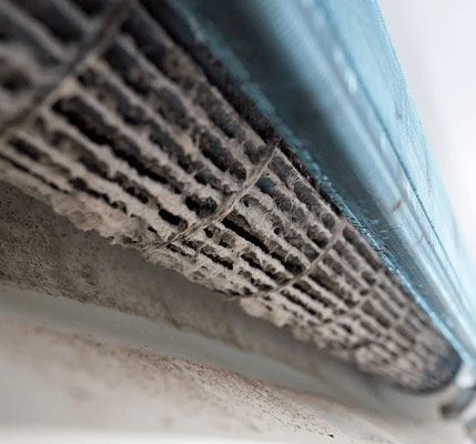 HVAC Mold