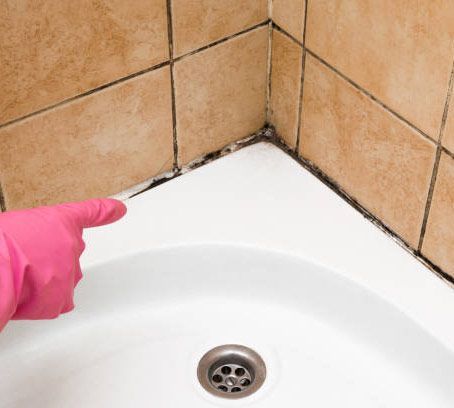 Bathroom & Kitchen Mold