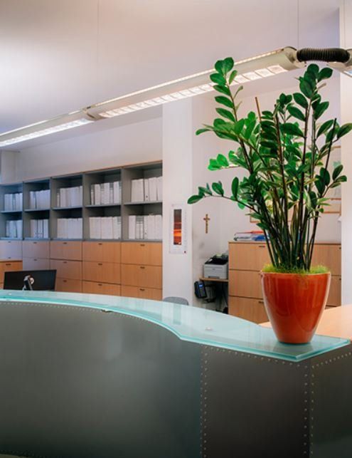 Una pianta in vaso è appoggiata su un bancone in un ufficio