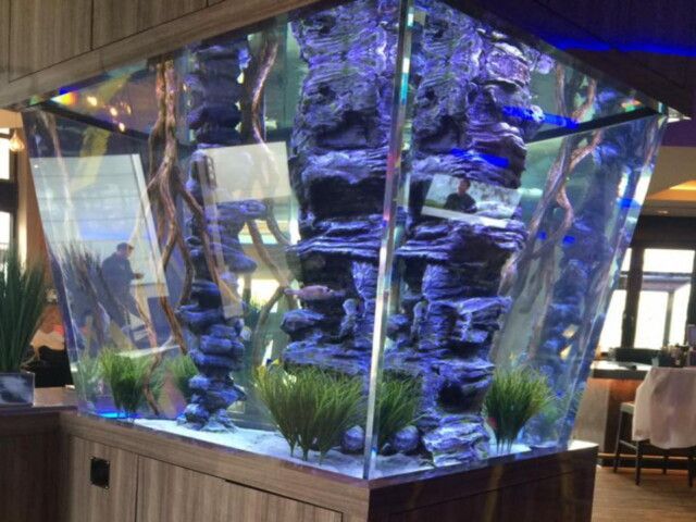 A large aquarium filled with fish and plants in a room.