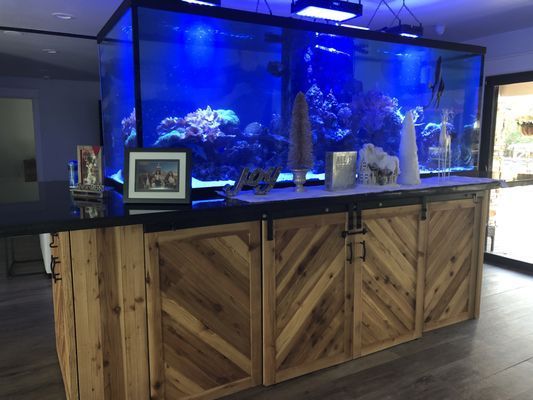 A large aquarium is sitting on top of a wooden counter.