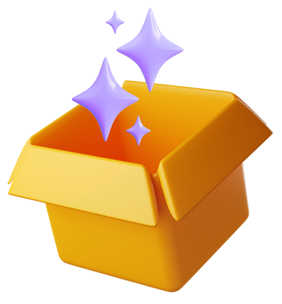 Starter NetSuite Support Plan