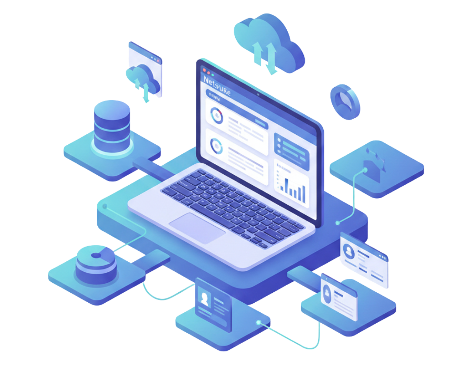 Netsuite Professional Services
