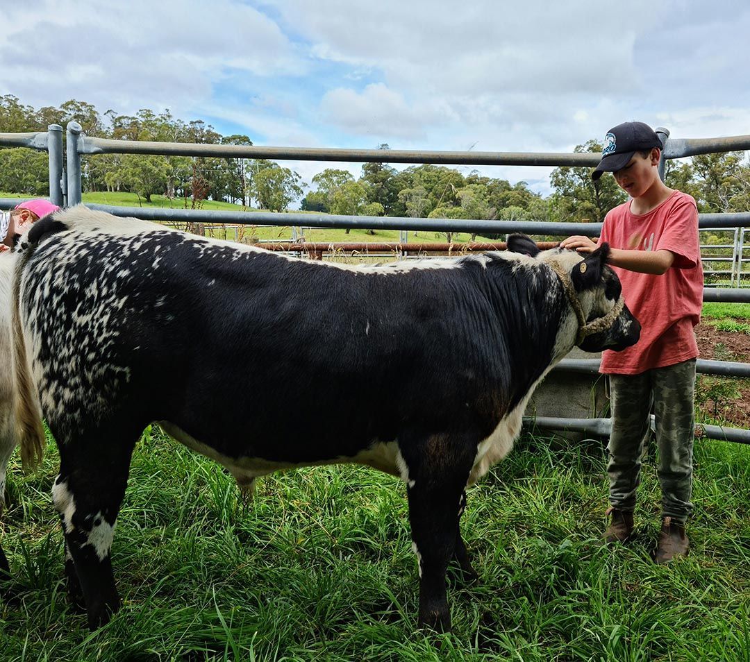 alinjarra speckle park