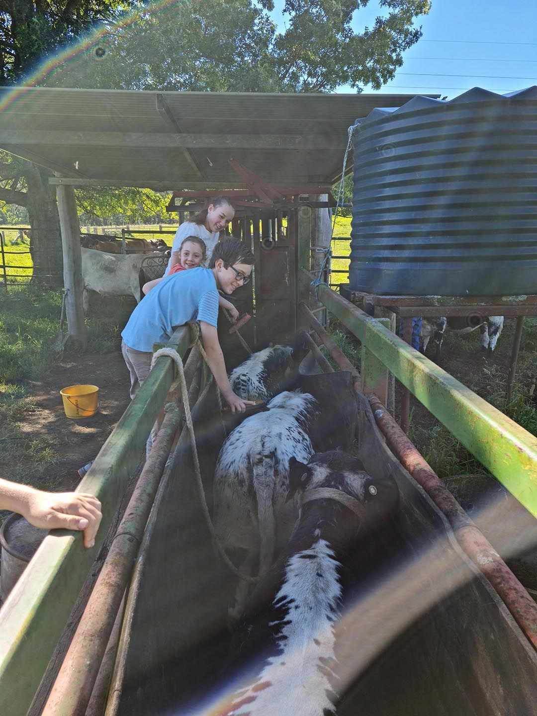 alinjarra speckle park