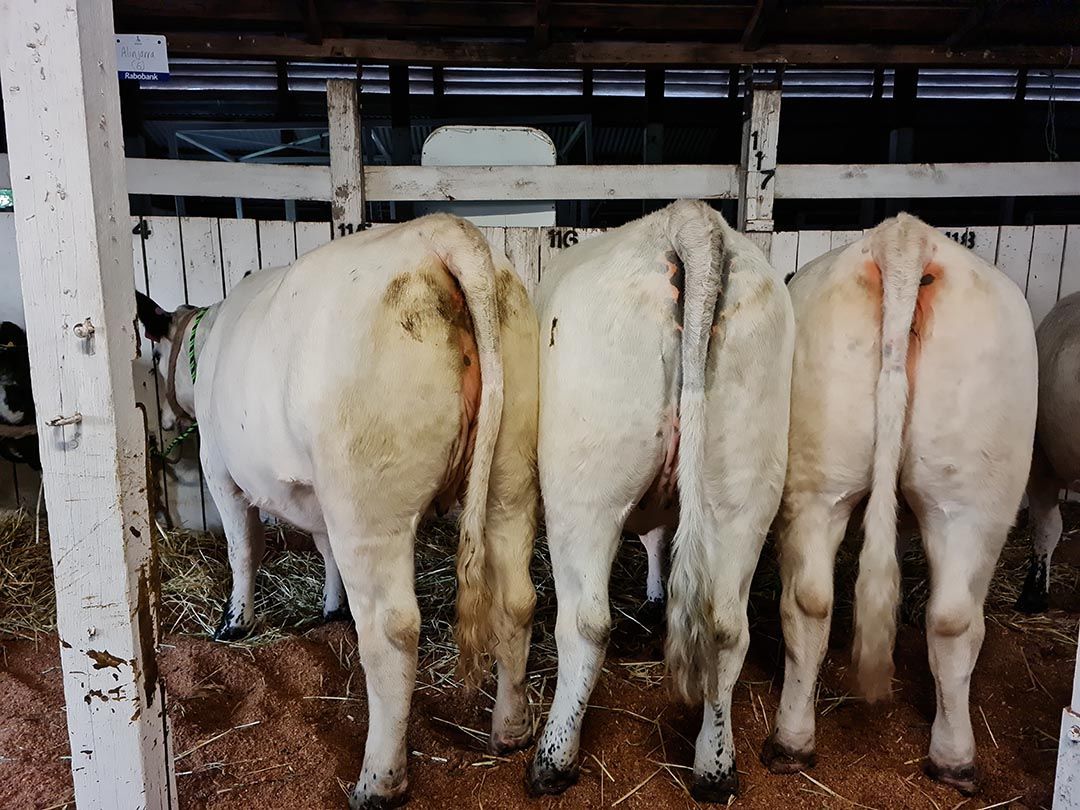 alinjarra speckle park