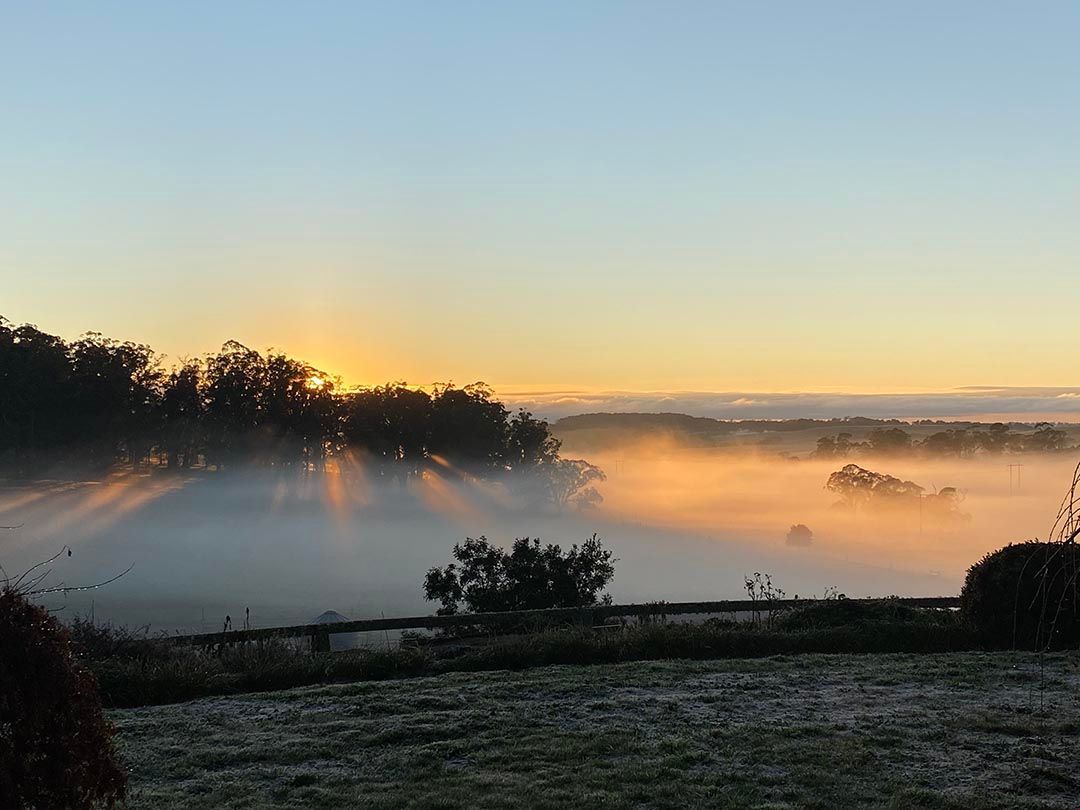 alinjarra speckle park