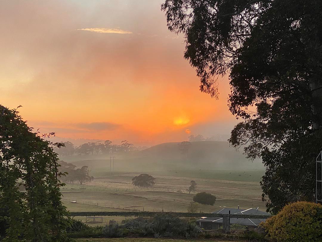 alinjarra speckle park