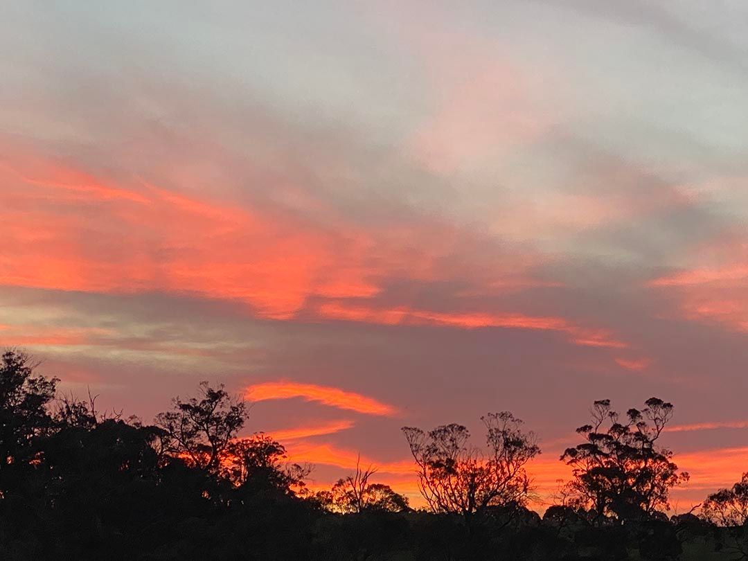 alinjarra speckle park