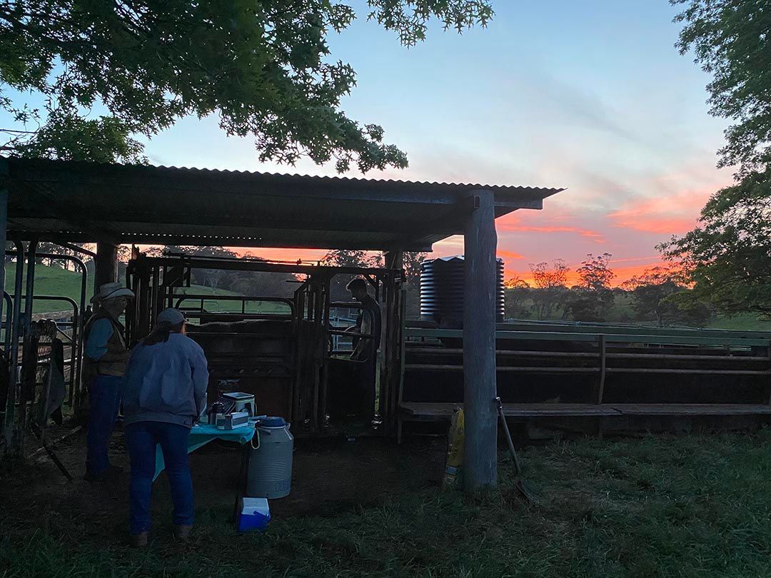 alinjarra speckle park