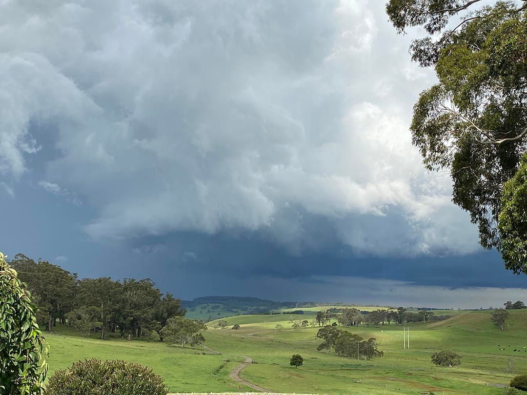 alinjarra speckle park