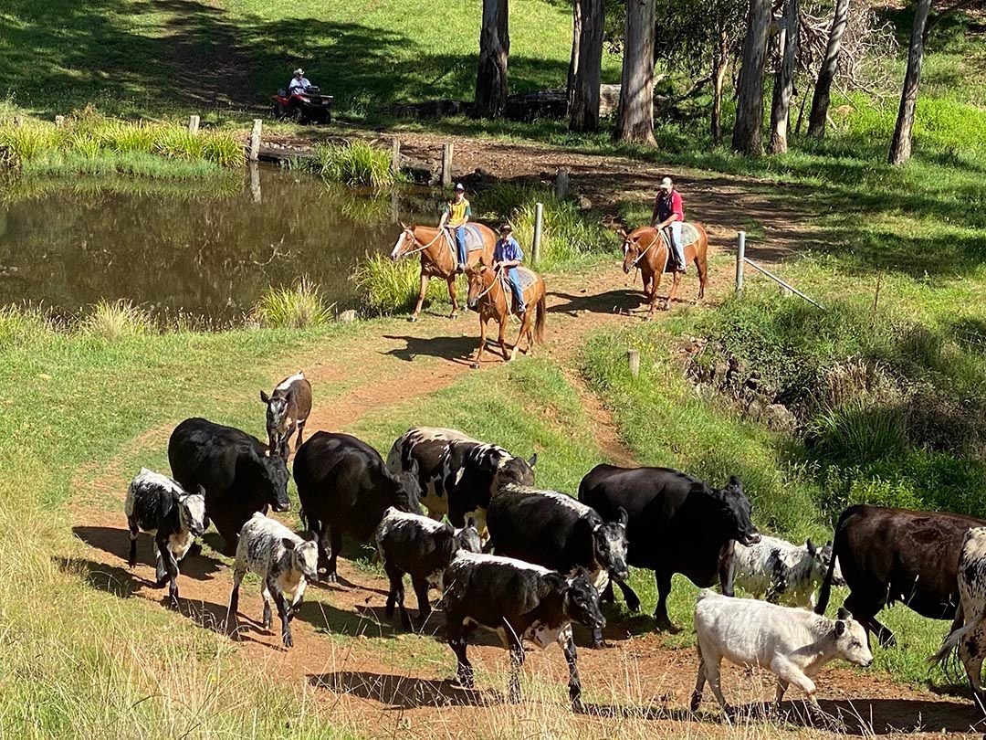 alinjarra speckle park