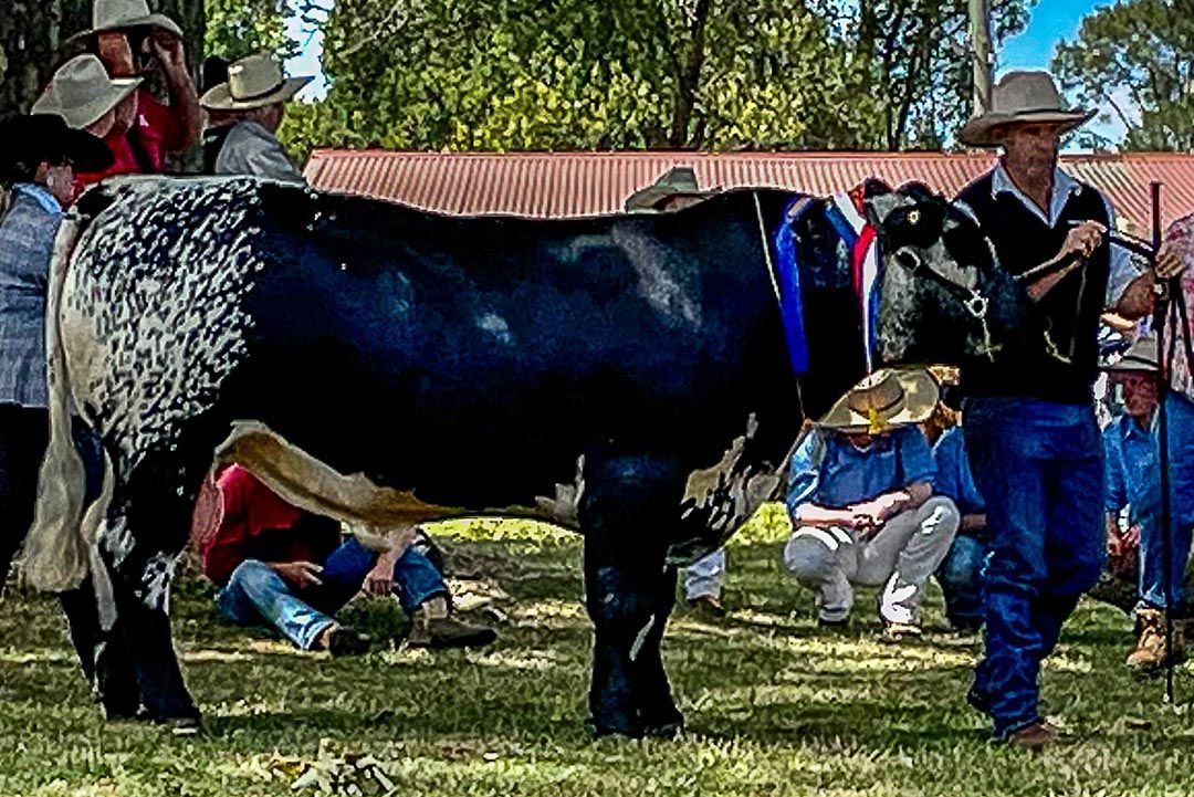 alinjarra speckle park