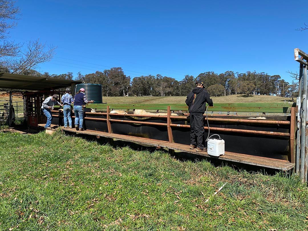 alinjarra speckle park