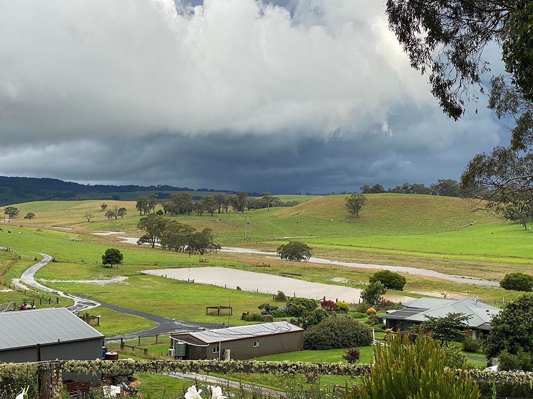 alinjarra speckle park