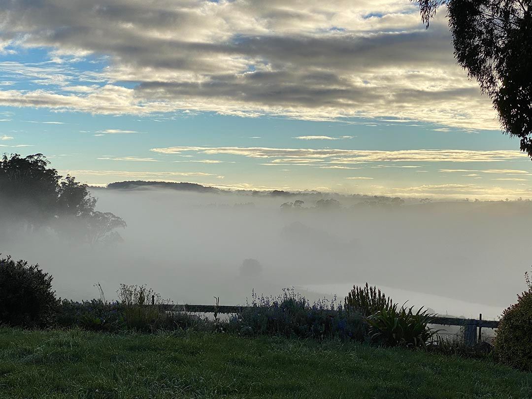 alinjarra speckle park