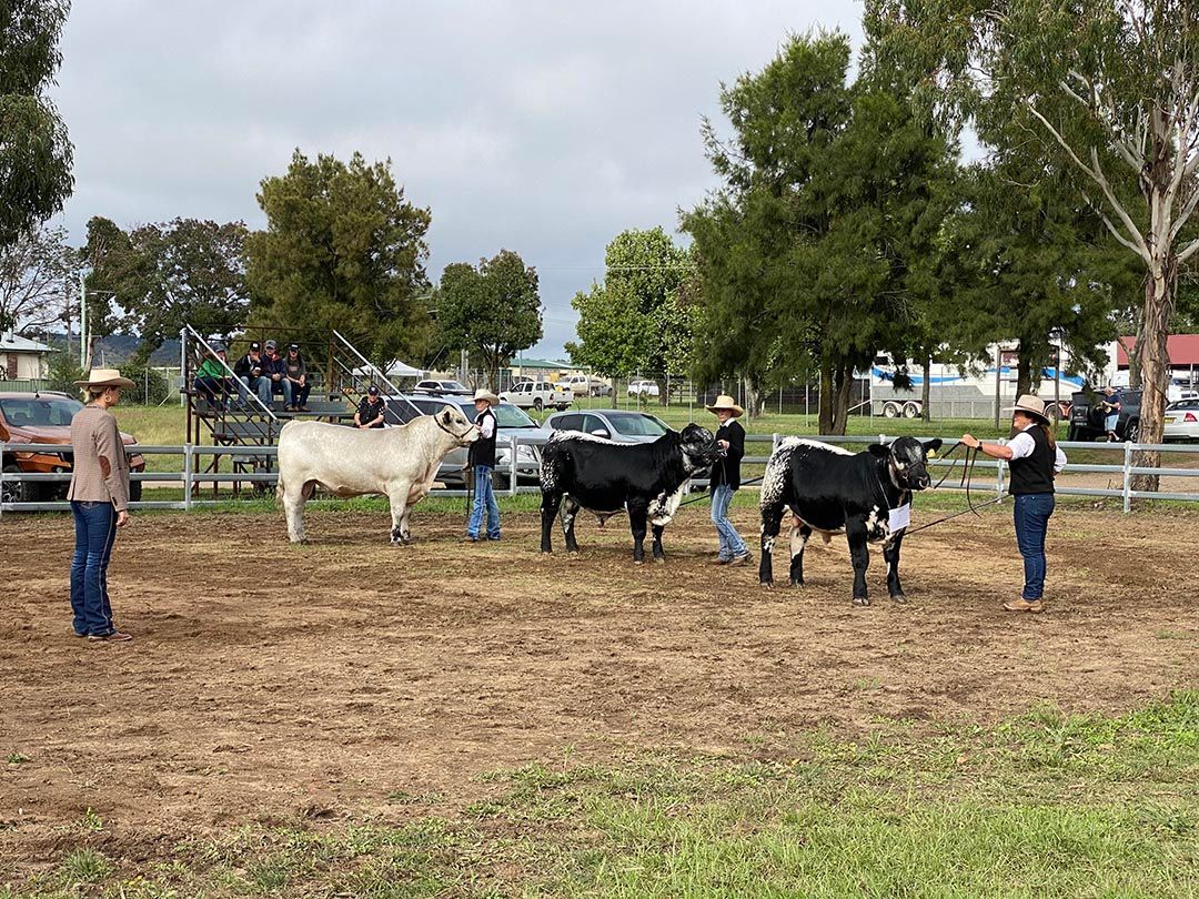 alinjarra speckle park