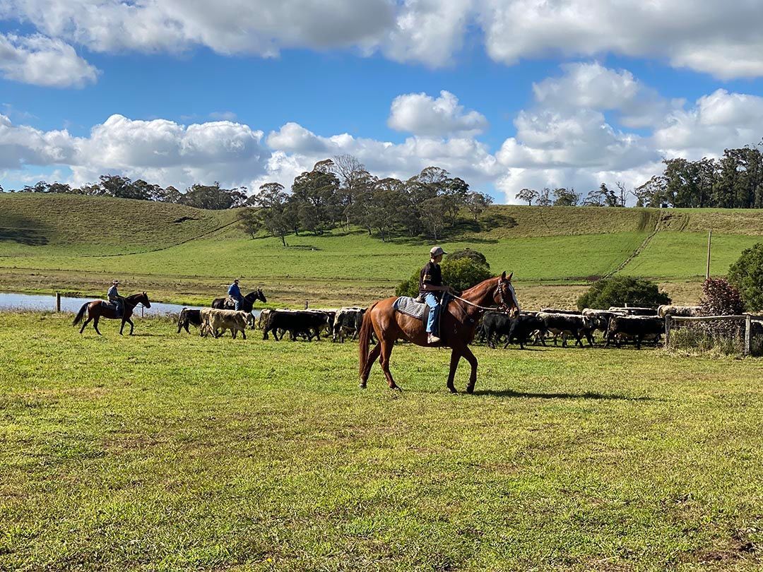 alinjarra speckle park