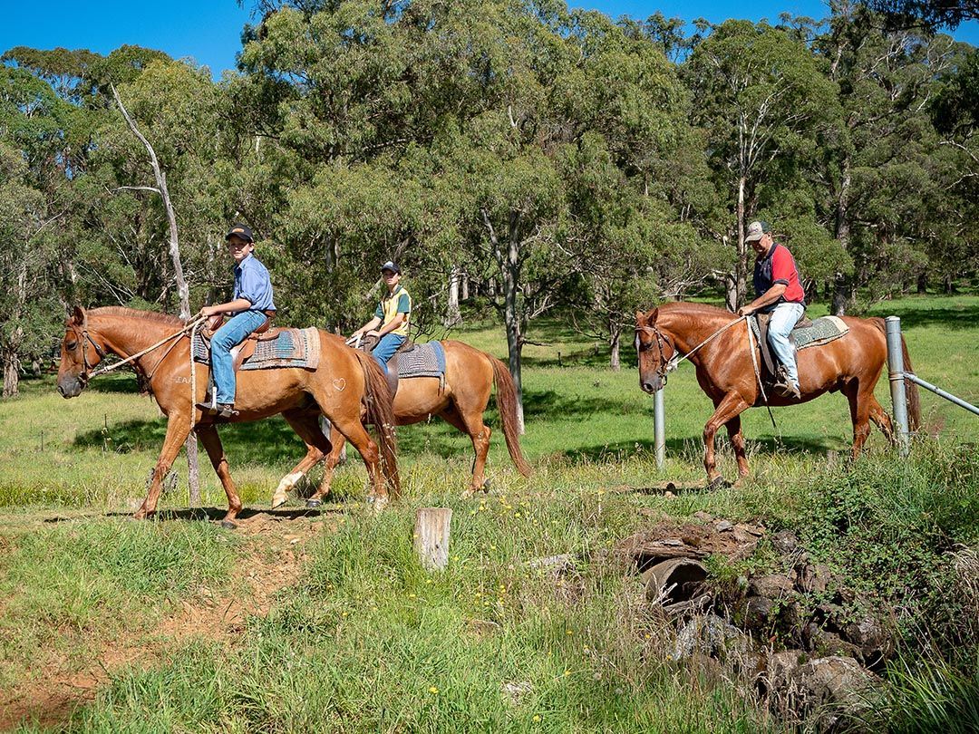 alinjarra speckle park