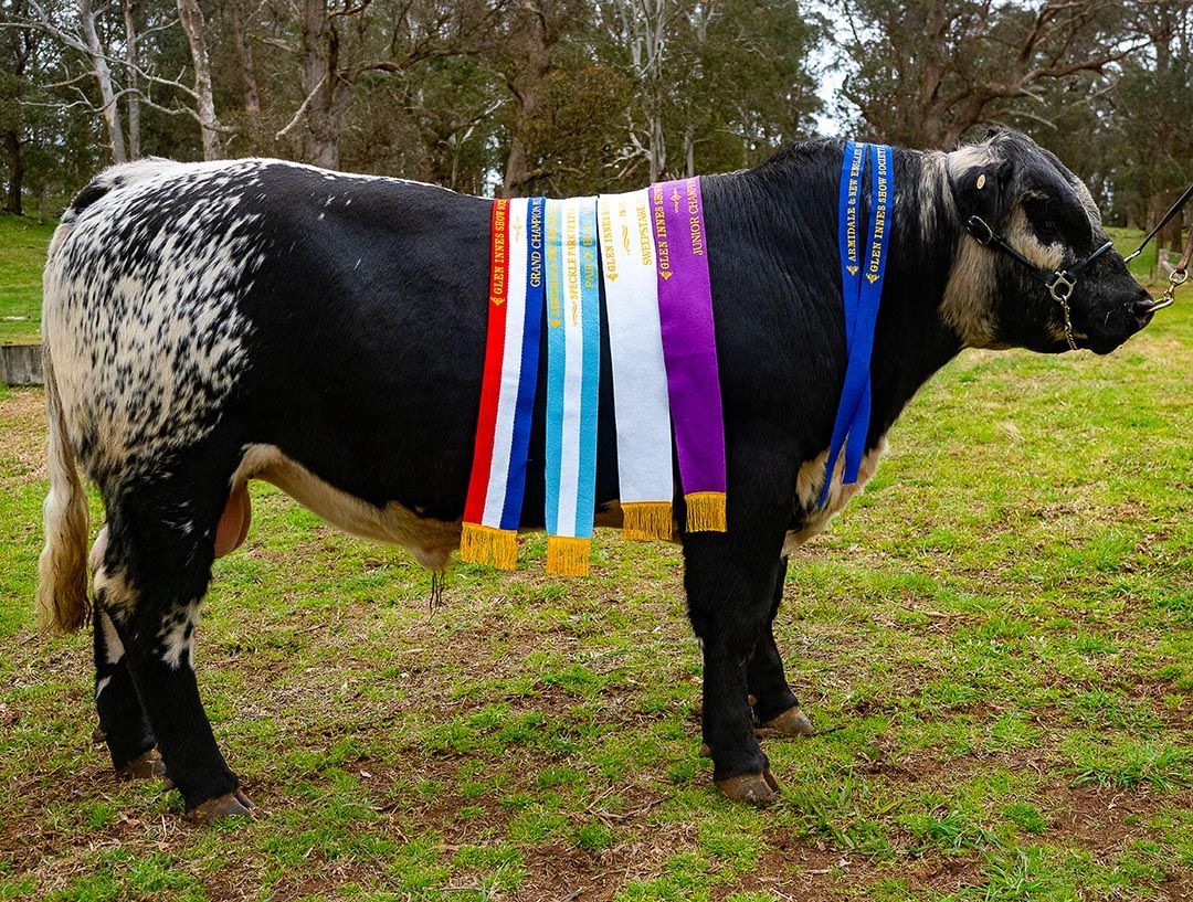 alinjarra speckle park