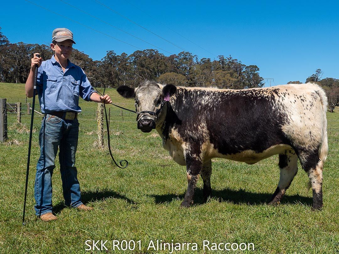 alinjarra speckle park