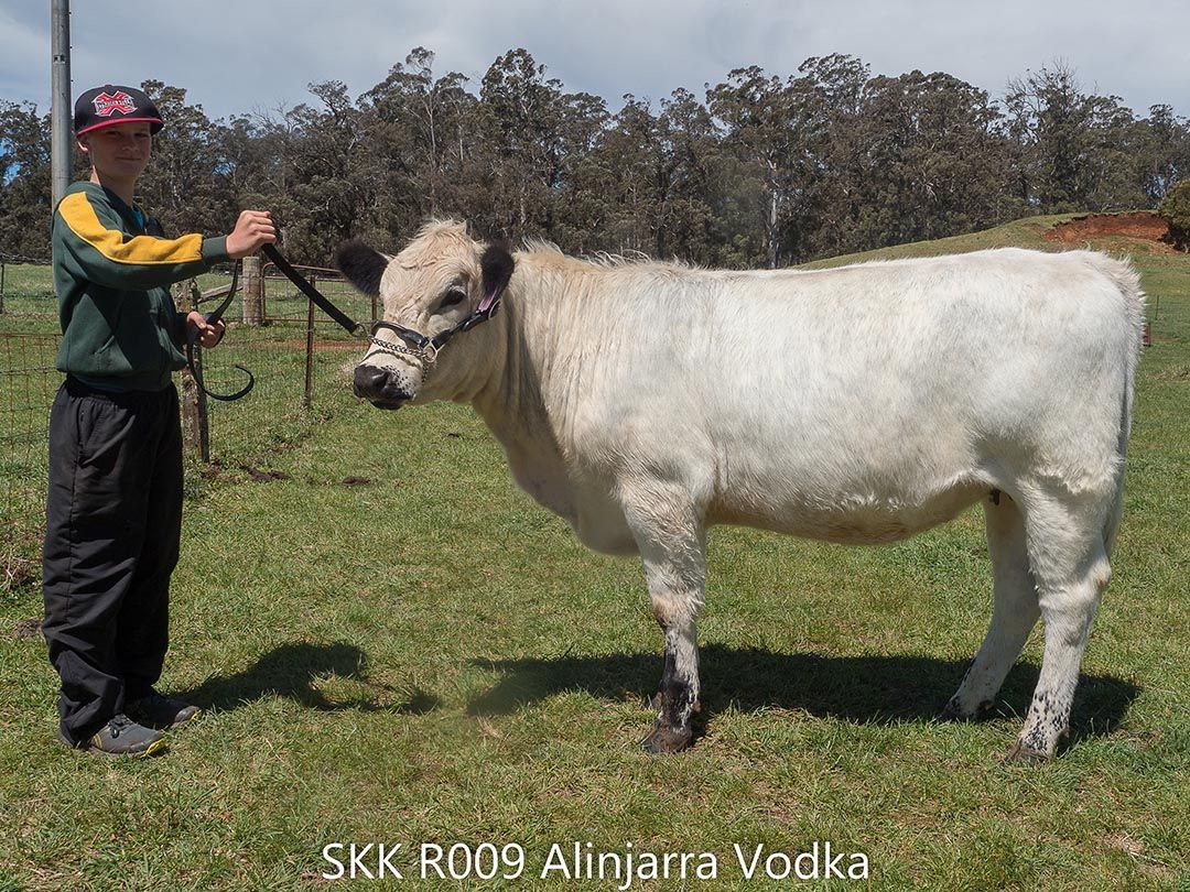 alinjarra speckle park