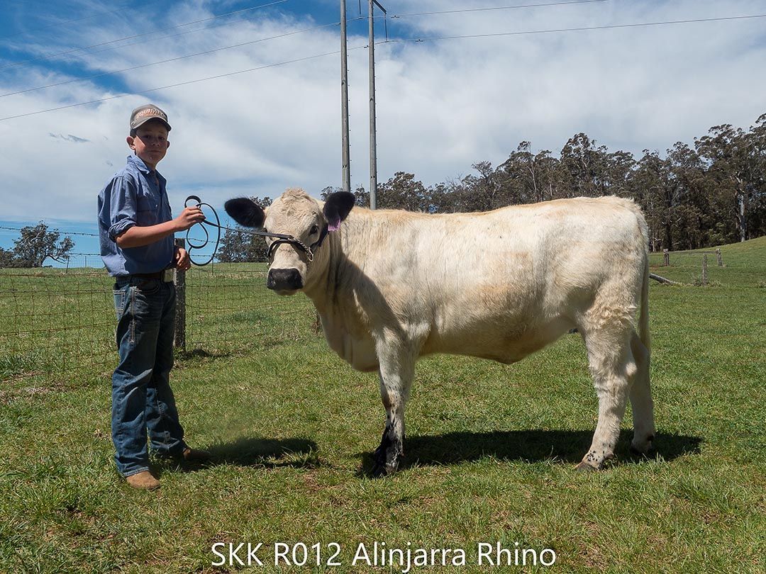 alinjarra speckle park