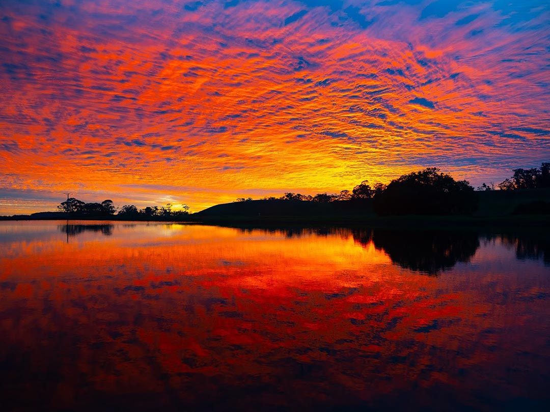 alinjarra speckle park